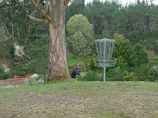 Disc Golf New Zealand Disc Golf New Zealand